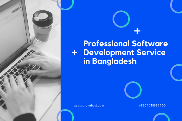 Professional Software Development In Bangladesh