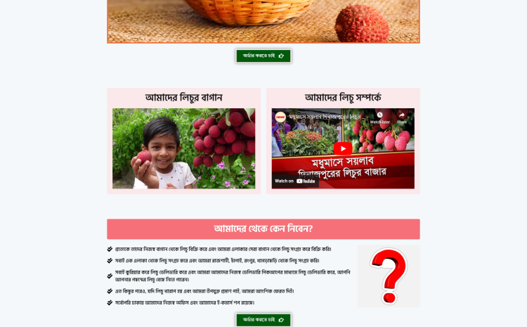 Lichu Ecommerce Landing Page – Launch in One Click